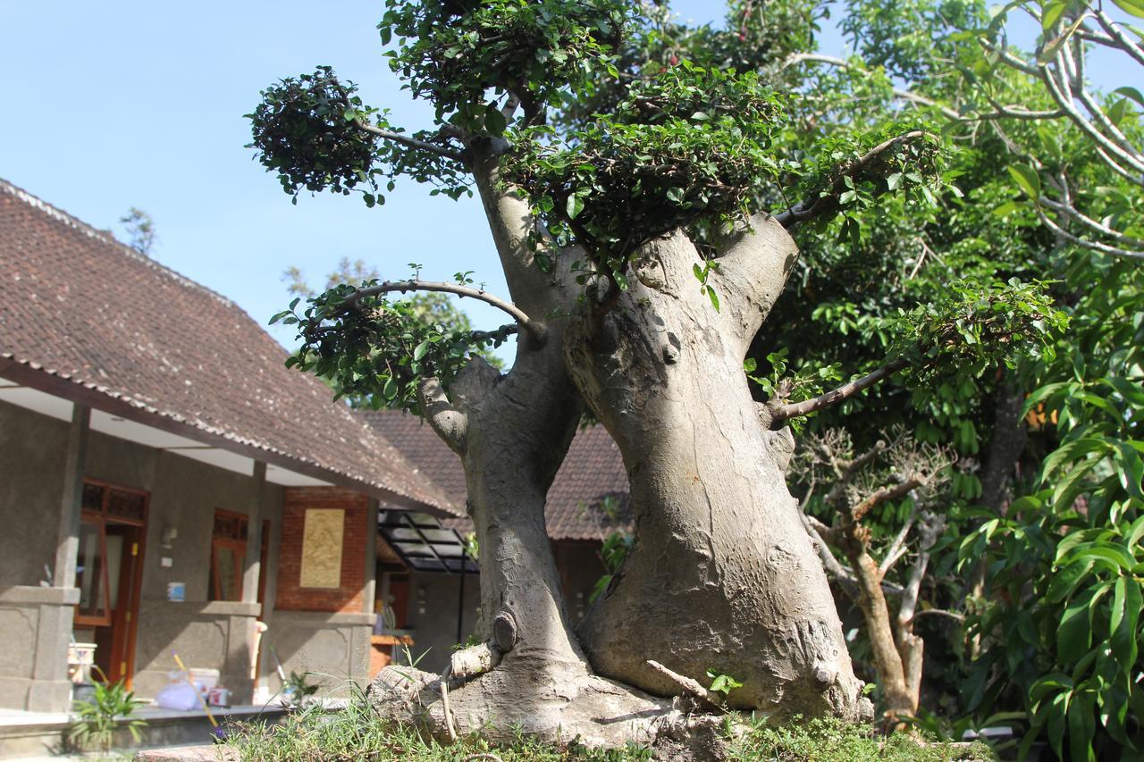 Jerogadung House Hotel Ubud Exterior foto